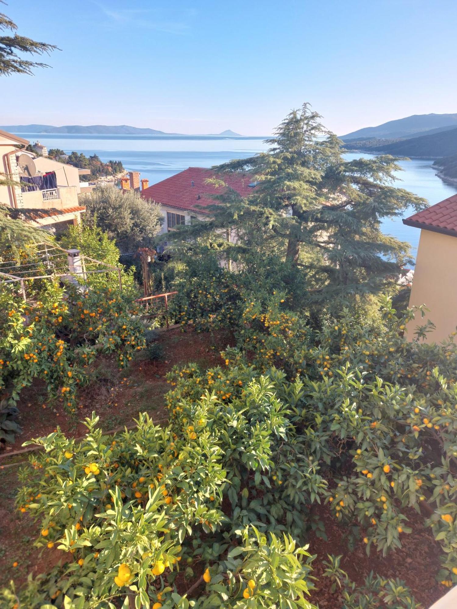 Apartment Park Rabac Exterior foto